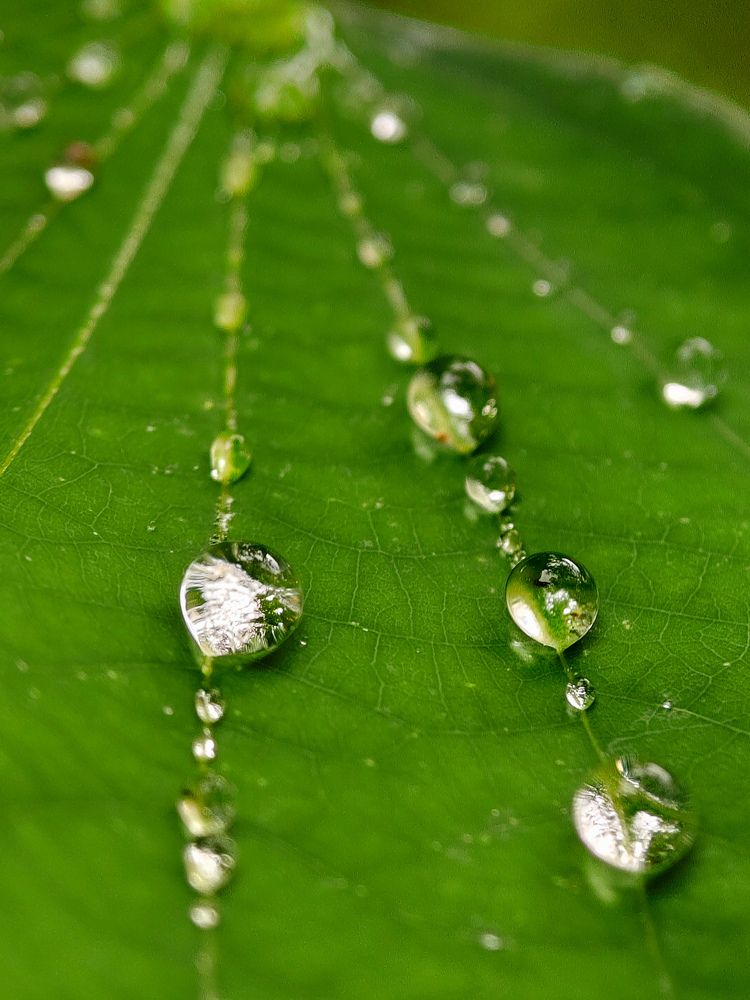 Photograph by Chinchu Chandran