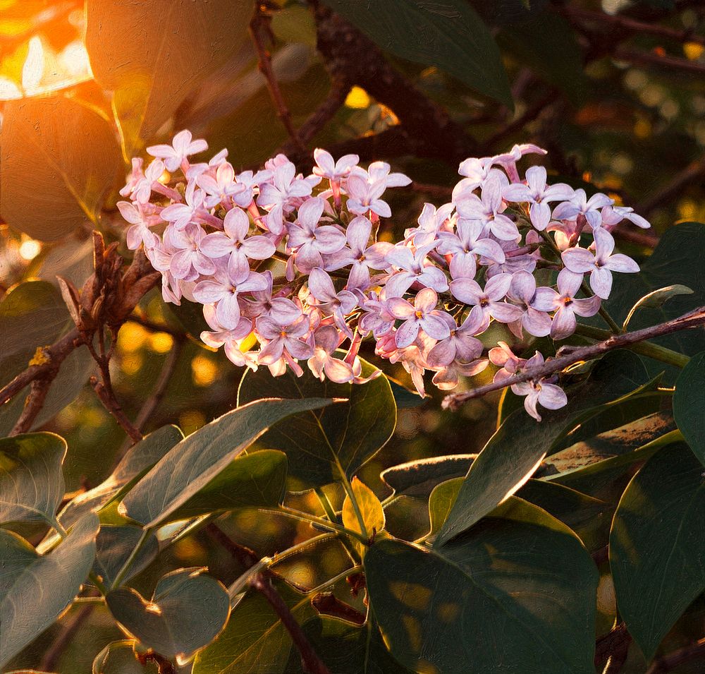 Photograph by Дмитрий Александрович