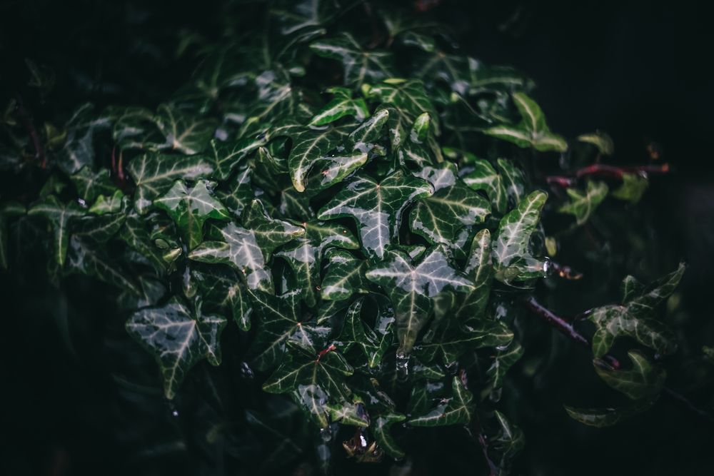 Photograph by Юлианна Митрофанова