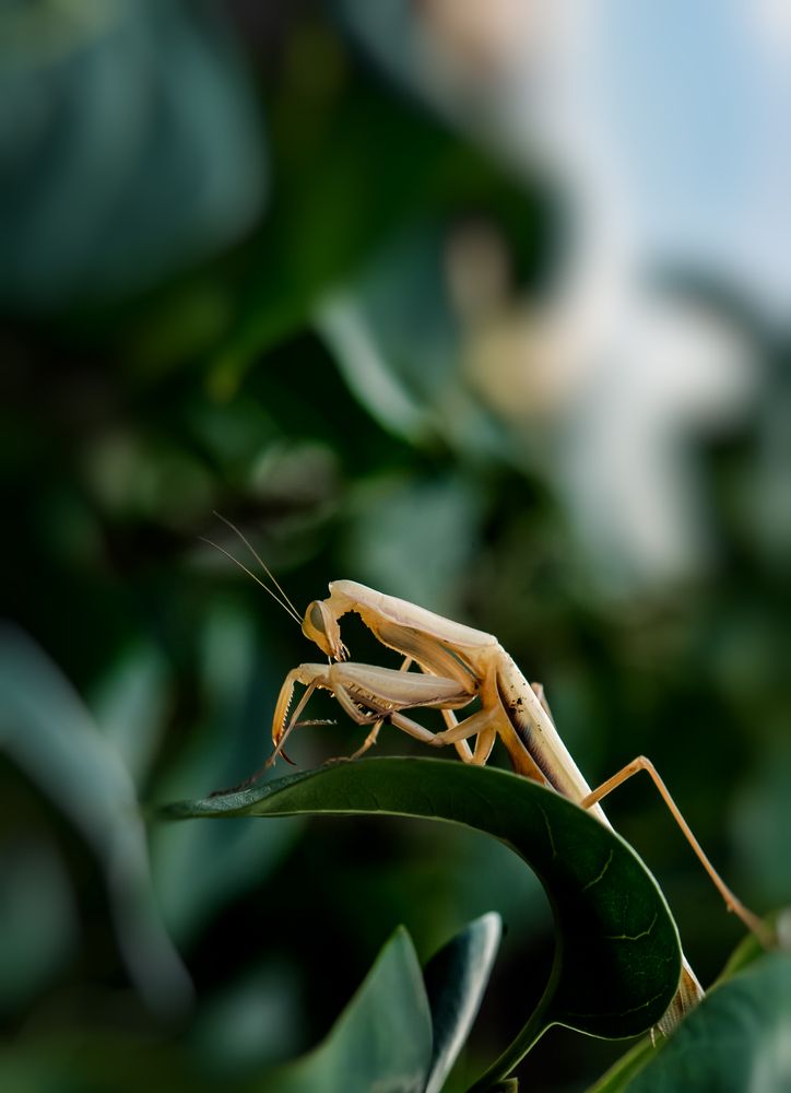 Photograph by Юлианна Митрофанова