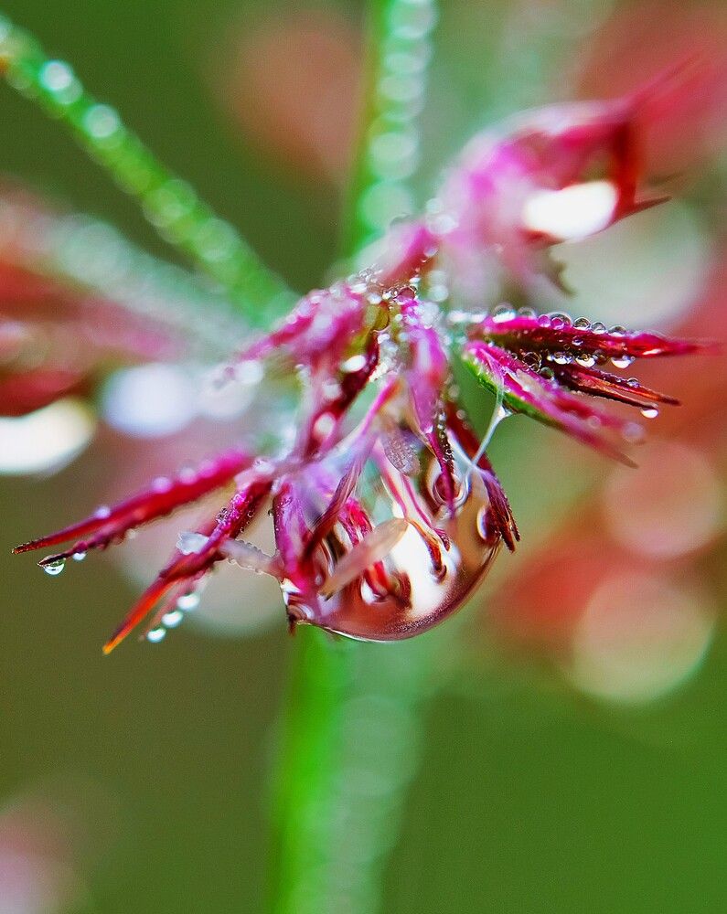 Photograph by Владимир Кирсанов