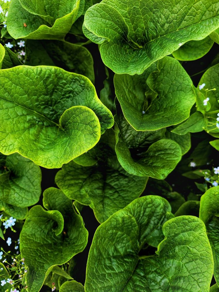 Photograph by Елена Артёменко