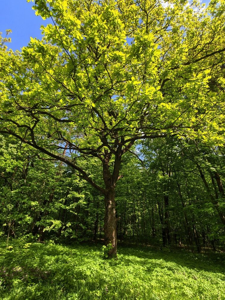 Photograph by Елена Артёменко