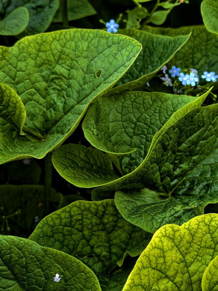 Photograph by Елена Артёменко