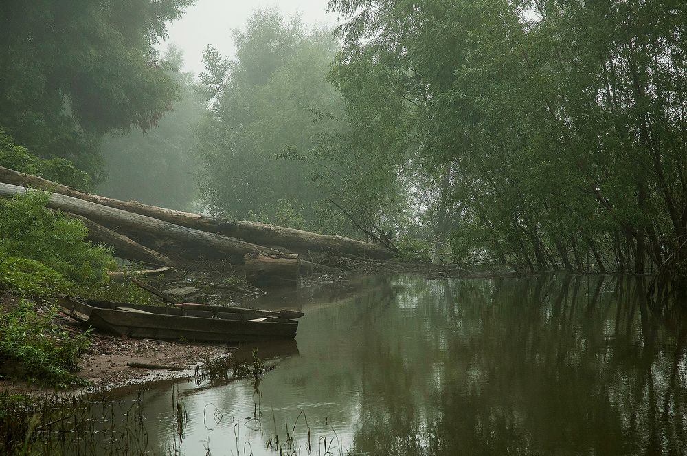Photograph by Алексей Патлах