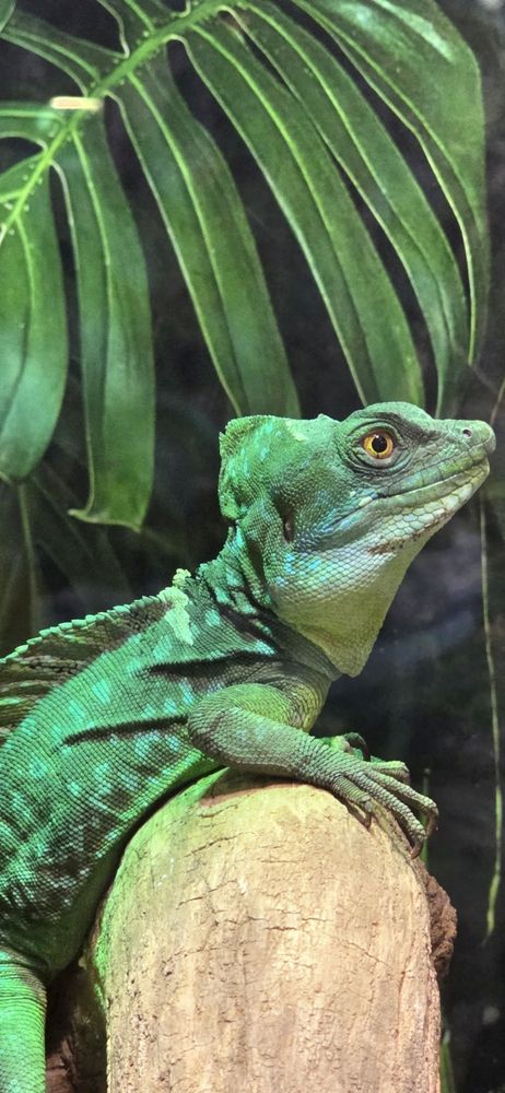 Photograph by Елизавета Васильева