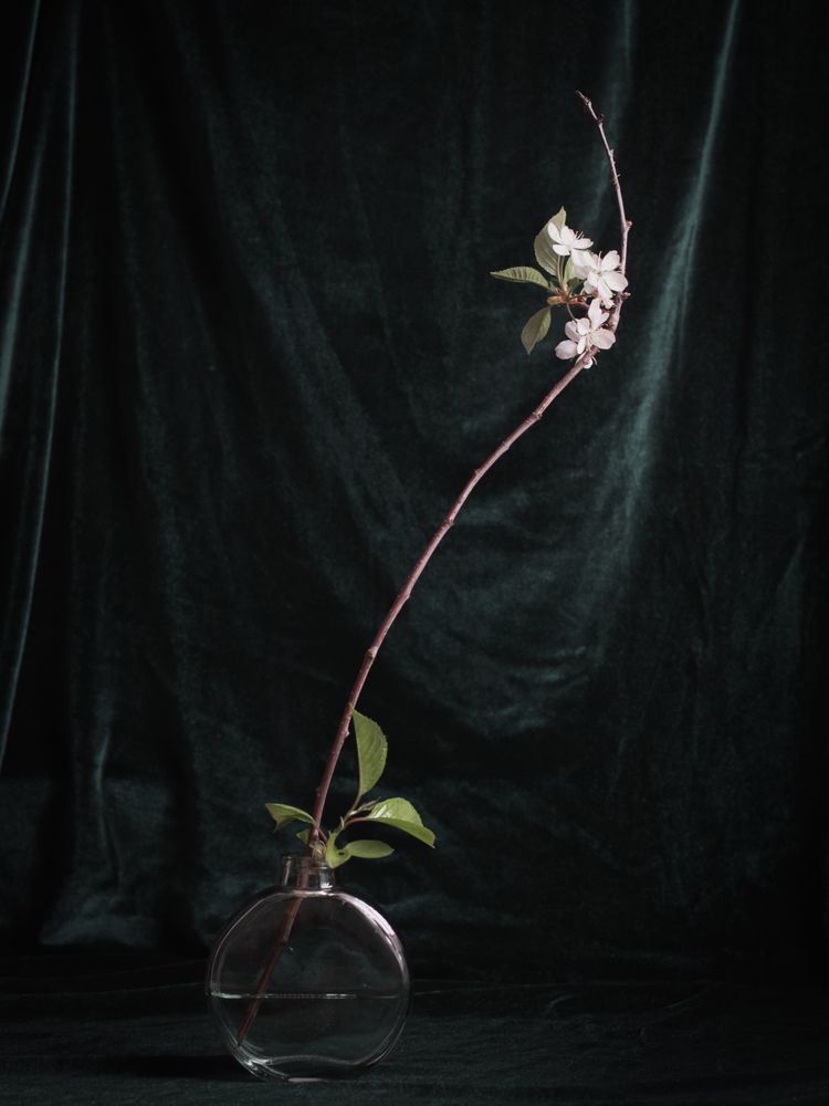 Photograph by Альфия