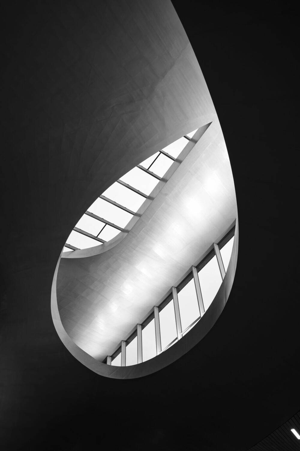 Curves and lines