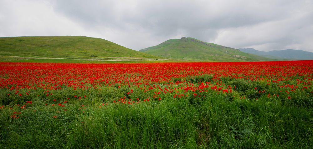 Photograph by Тигран Гукасян