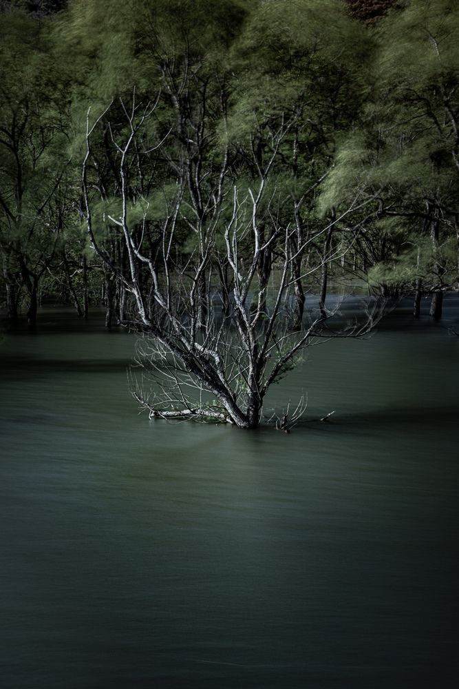Photograph by Iwamoto Reina