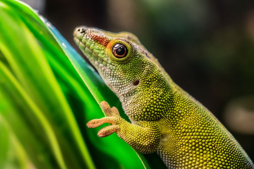Photograph by Дмитрий Анисимов