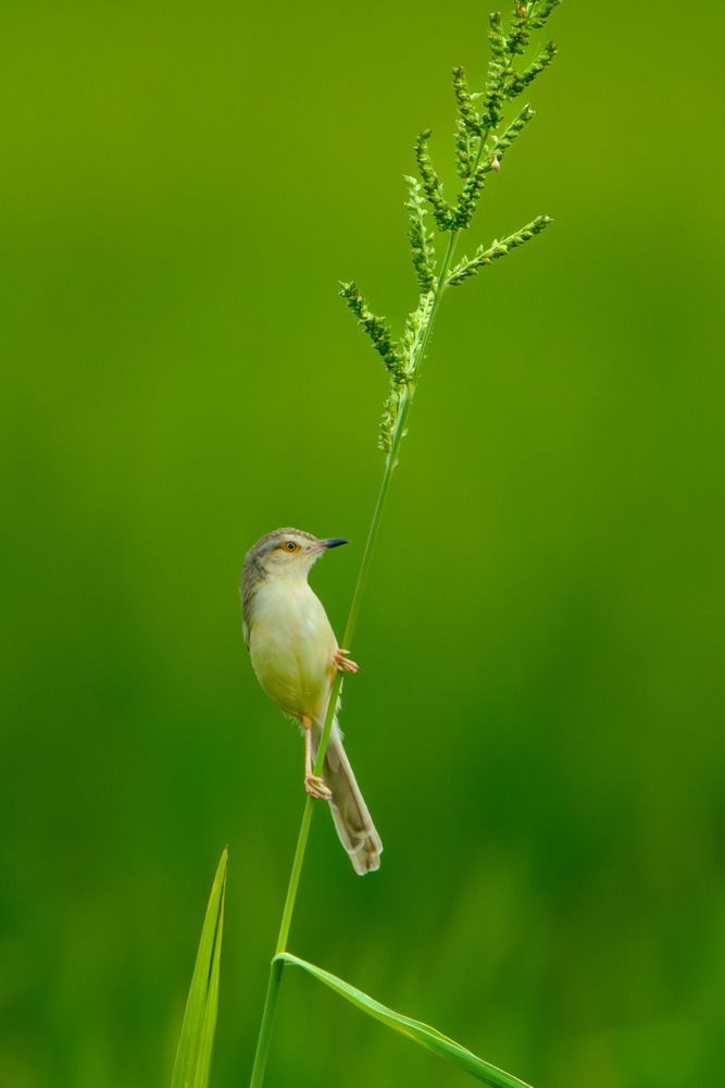 Photograph by Bùi Nguyễn