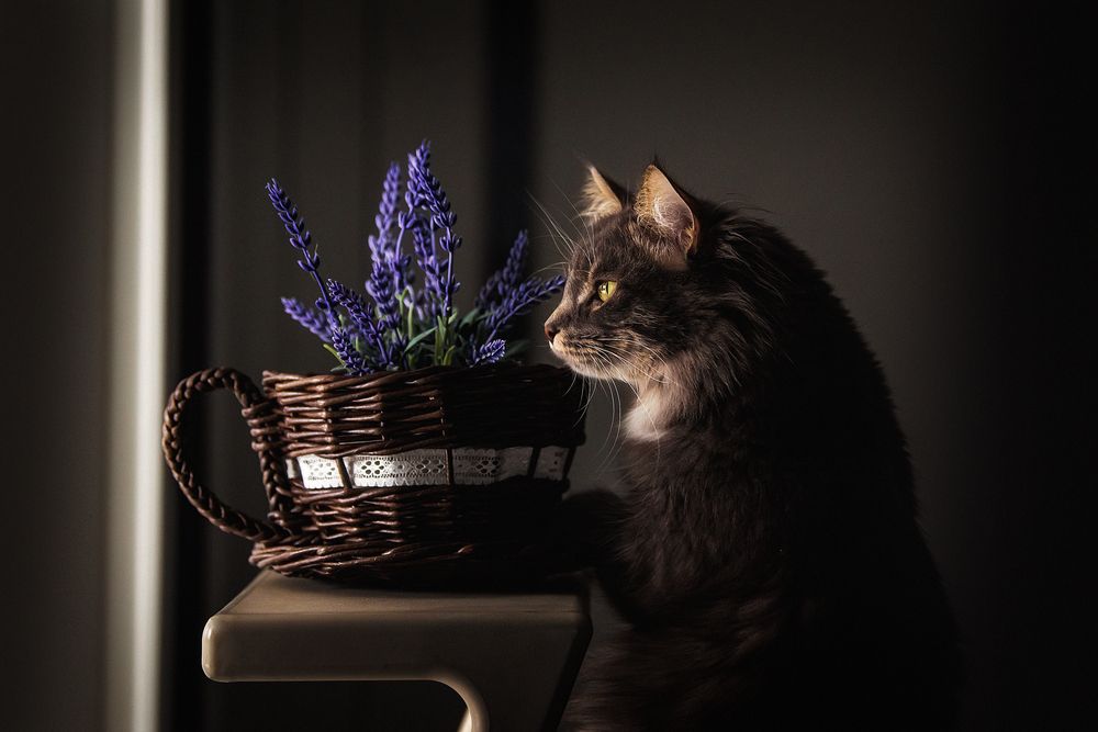 Photograph by Надежда Чумакова