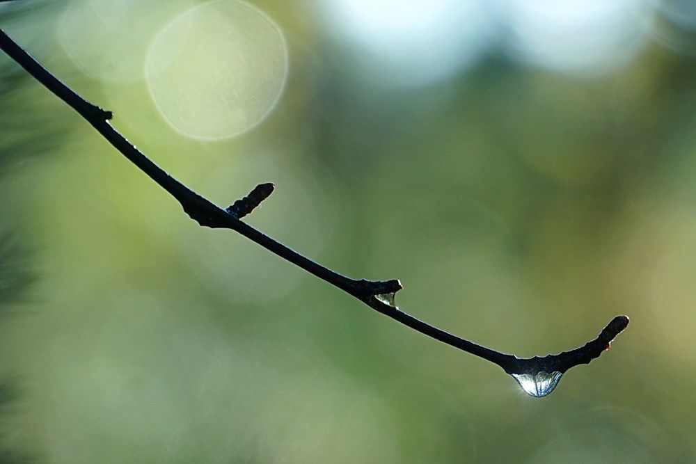 Photograph by Галина Кан