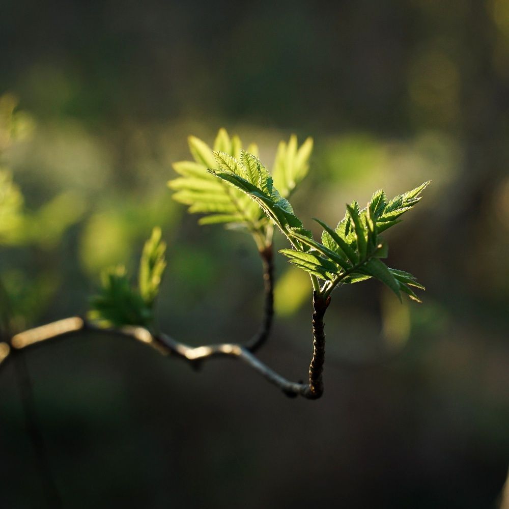 Photograph by Татьяна Шандромайло