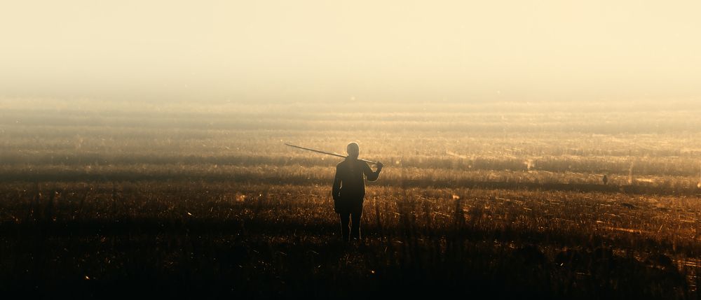 The Field Remembers