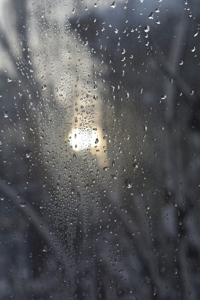 Photo #13615789