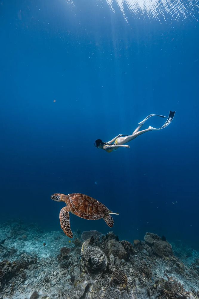 Shared Waters