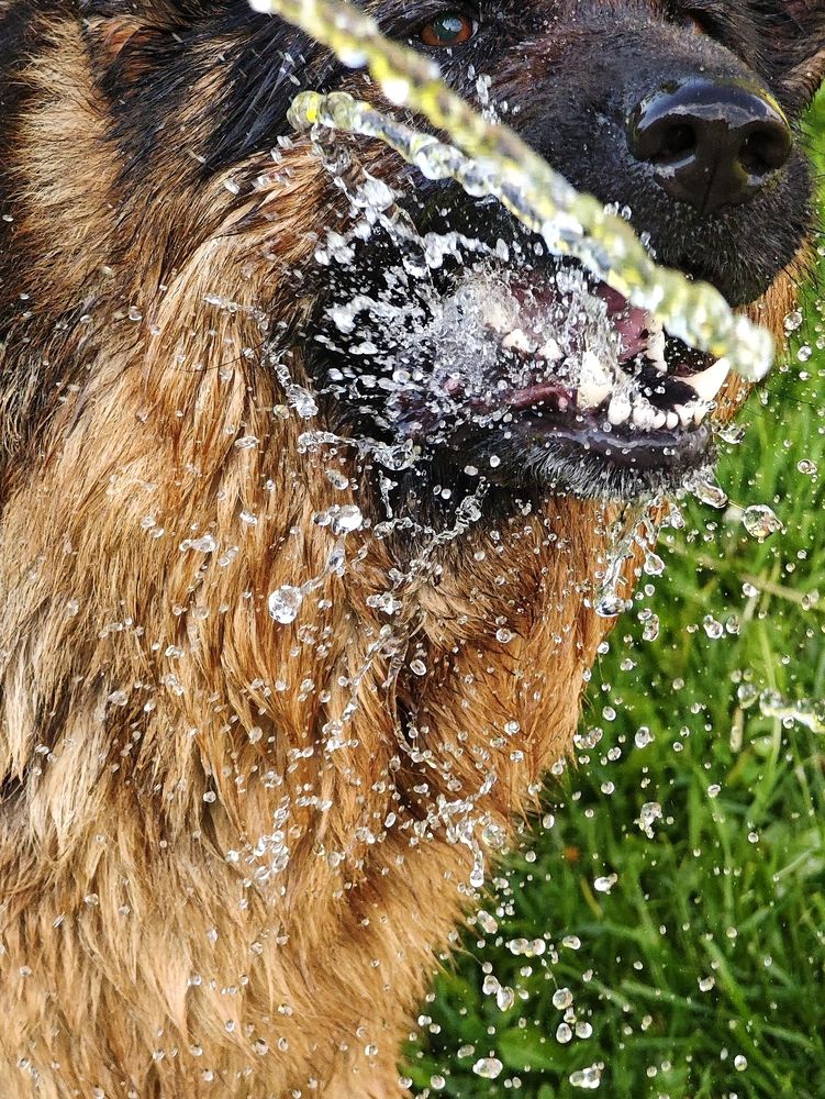 Водные игры