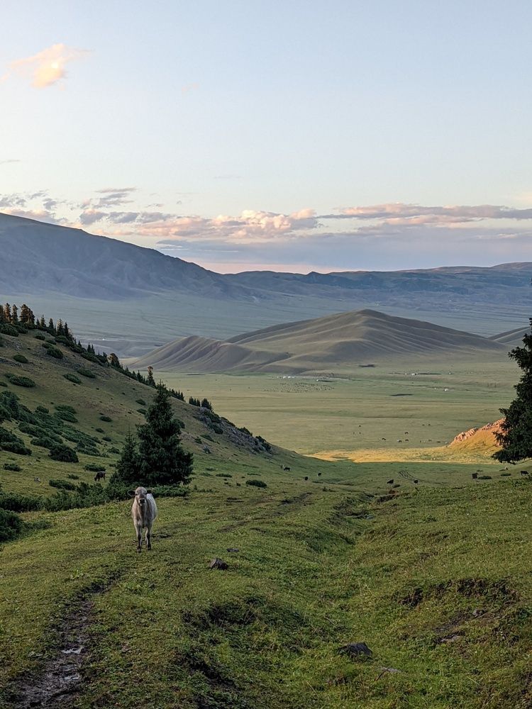 Photograph by Konstantin Kossyakov