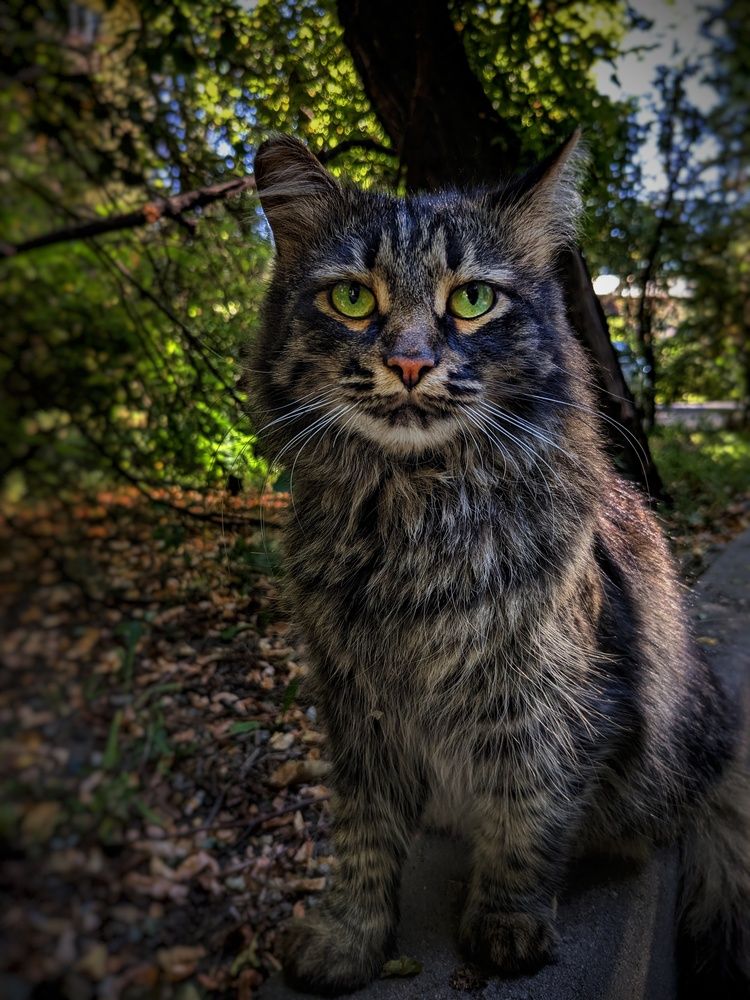 Photograph by Konstantin Kossyakov