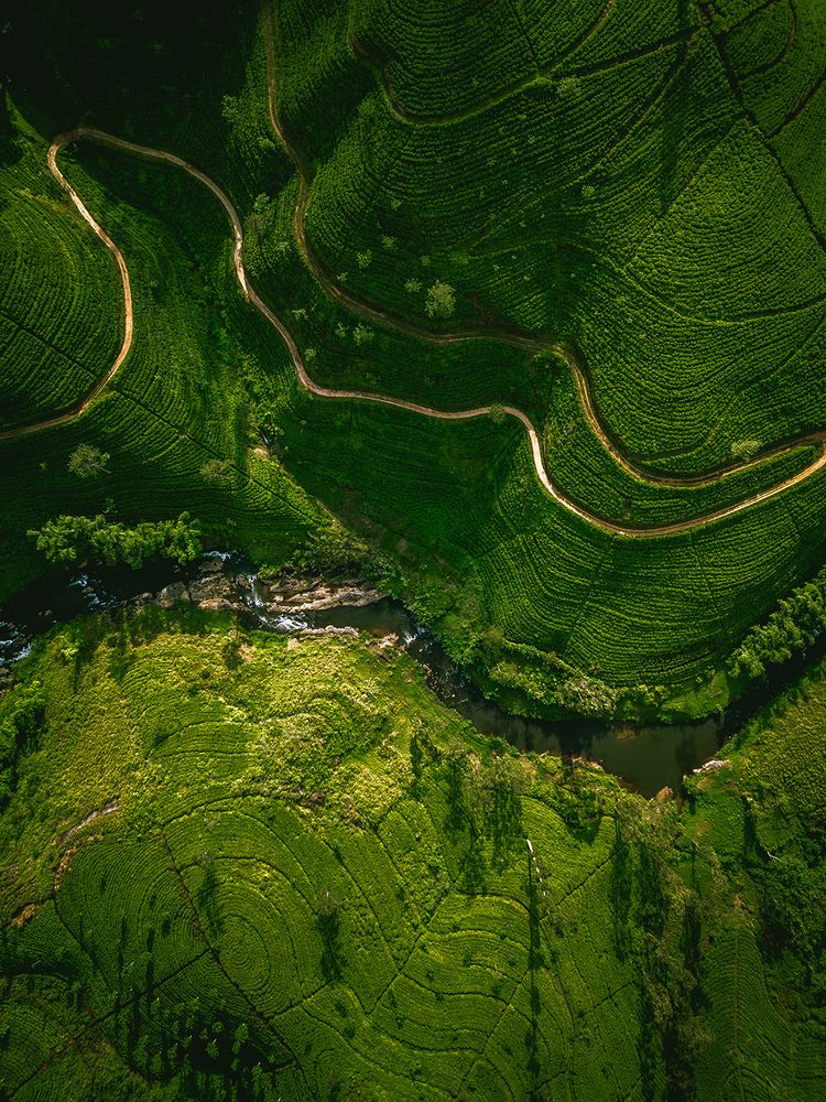 Photograph by Lahiru Rumesh