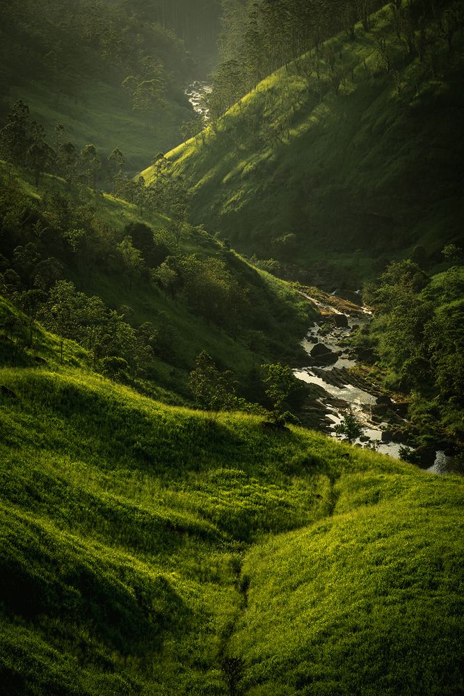Photograph by Lahiru Rumesh