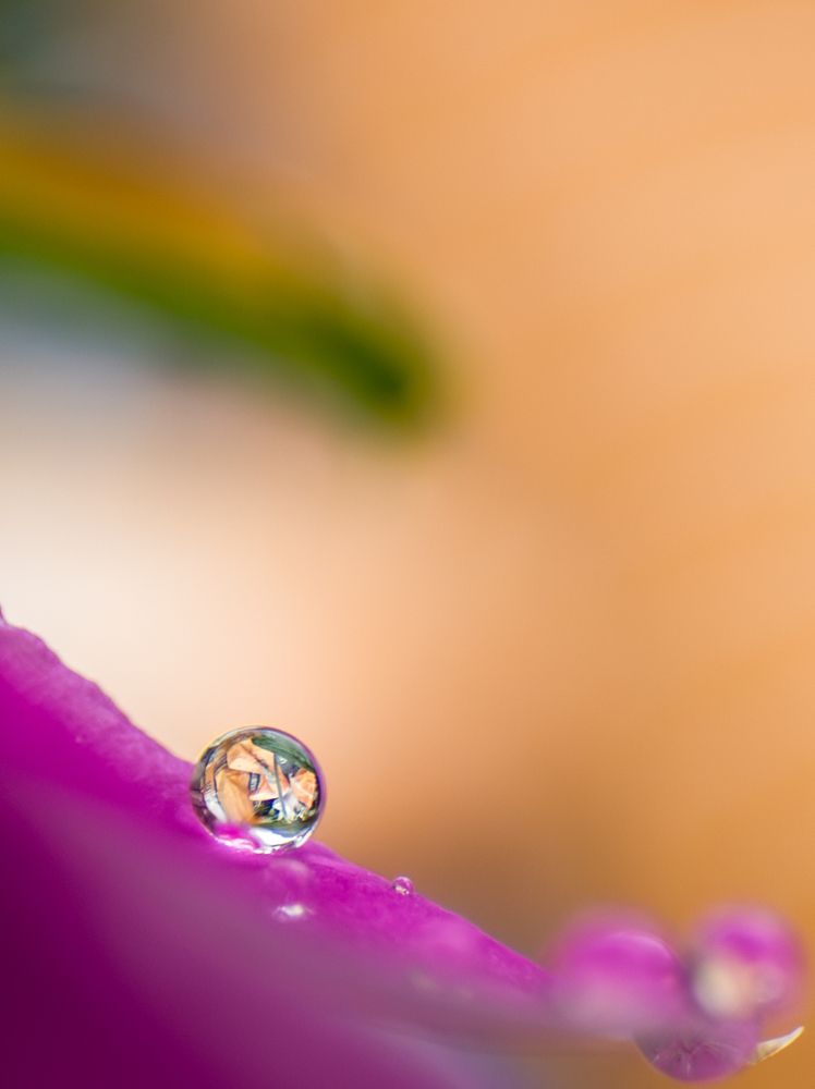 Photograph by Chowdhury Sumitava