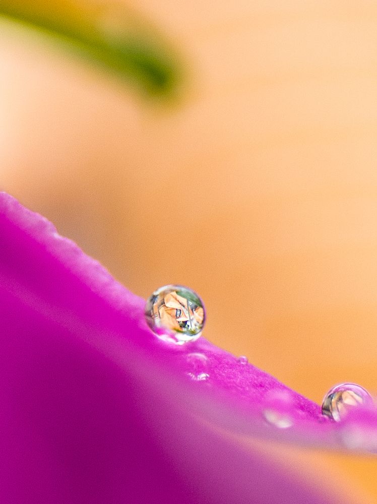 Photograph by Chowdhury Sumitava