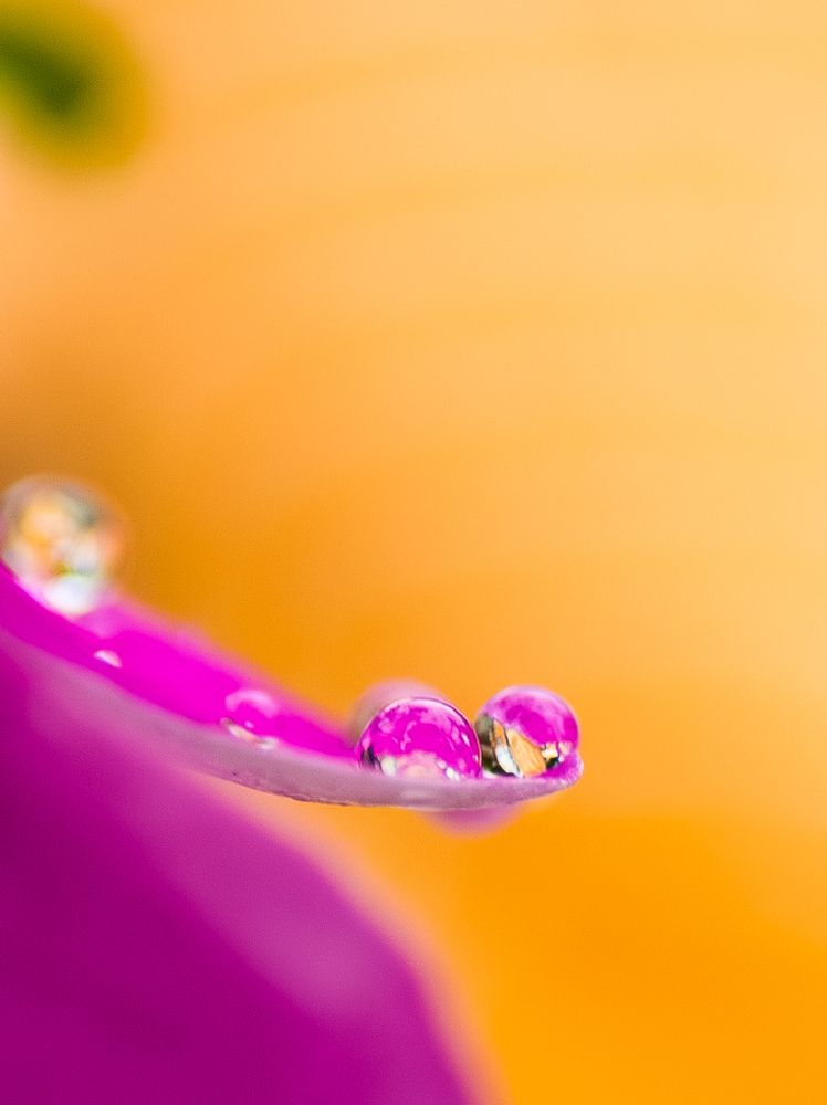 Photograph by Chowdhury Sumitava