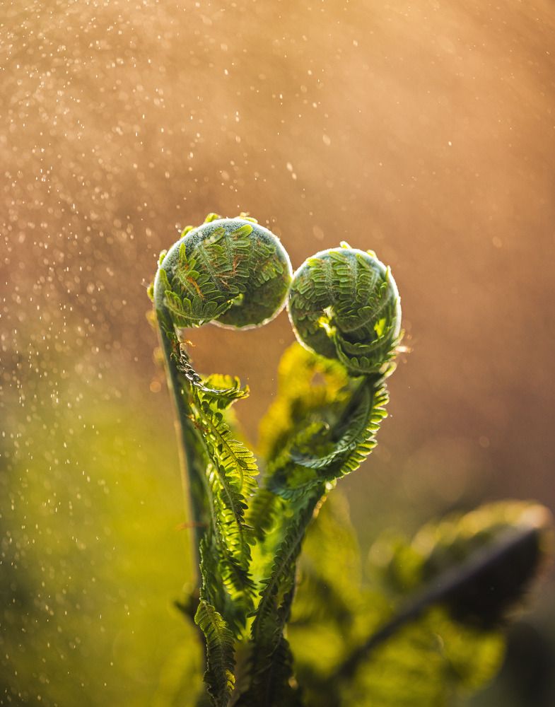 Photograph by Николай Захаров