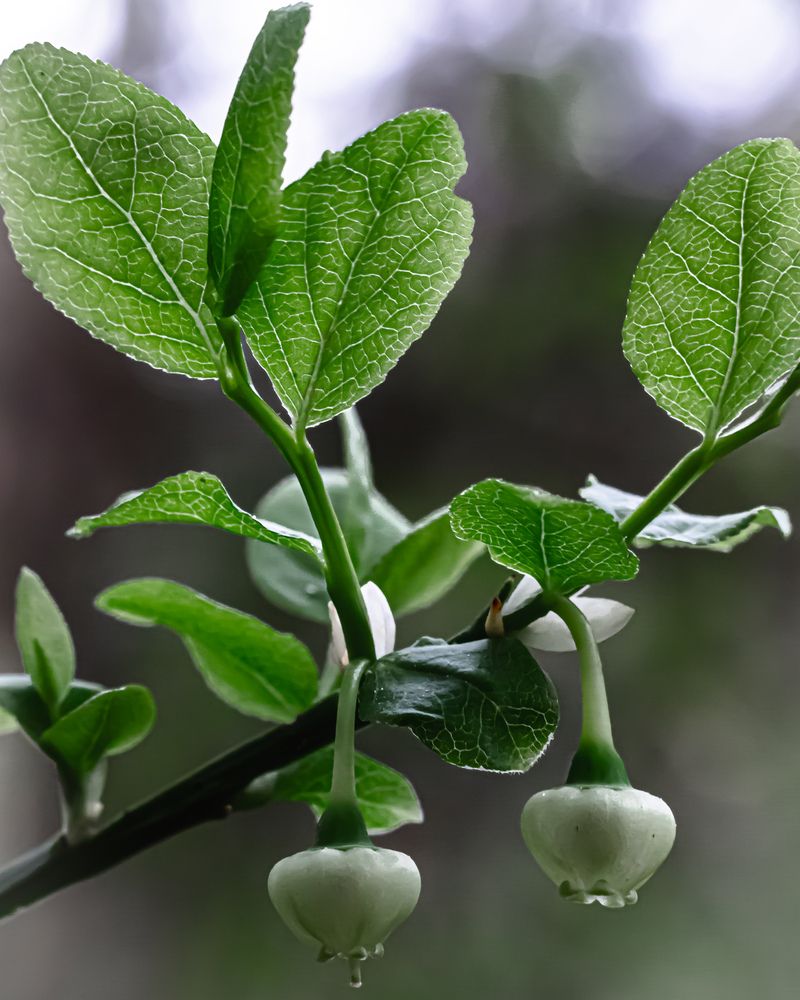 Photograph by Сергей Зайцев