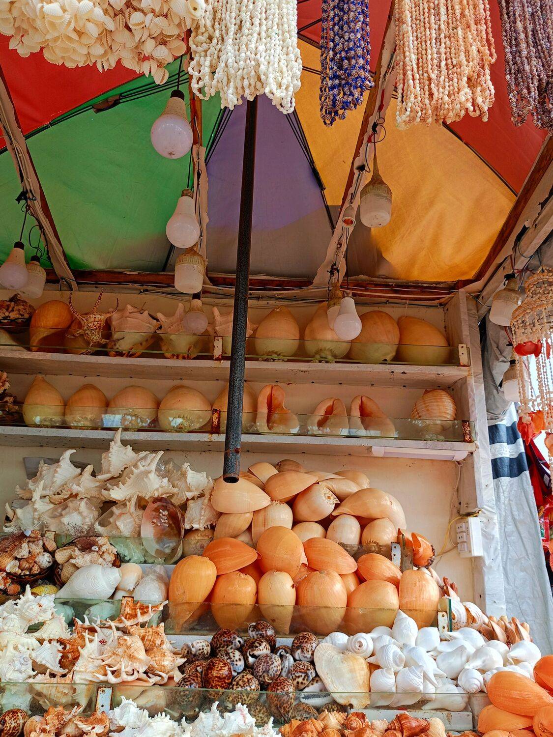 Ocean Souvenirs