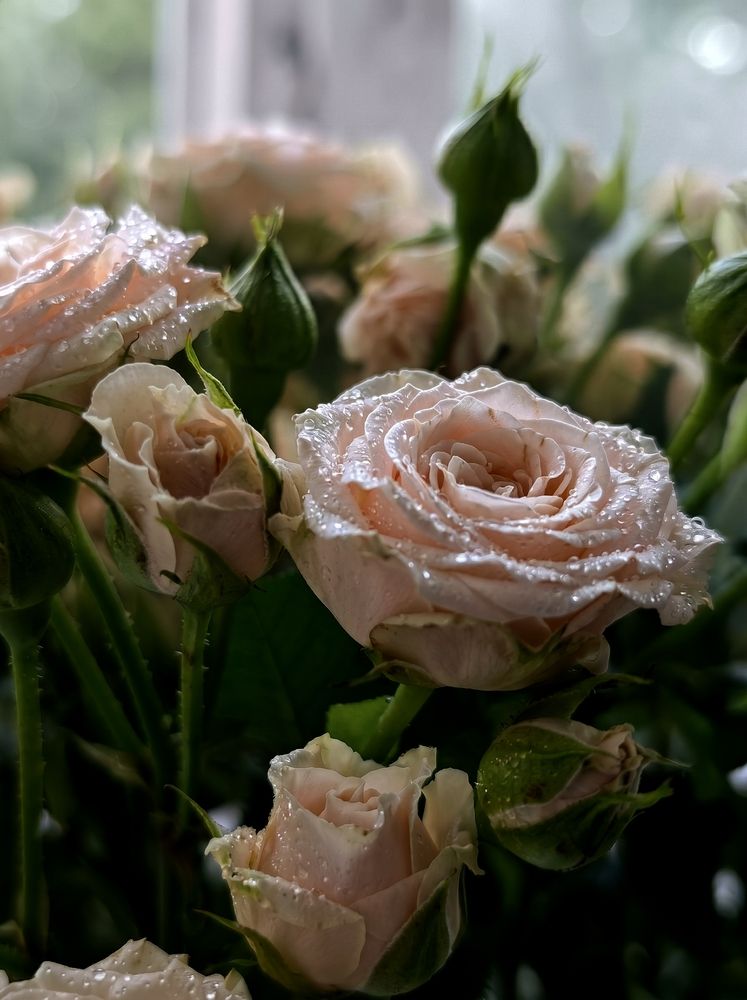 Photograph by Наталья Фирсова