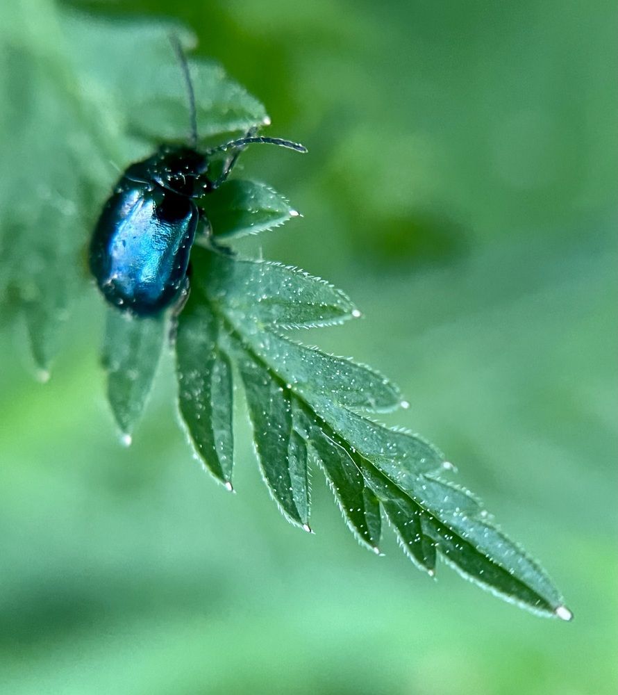 Photograph by Татьяна Михайловна