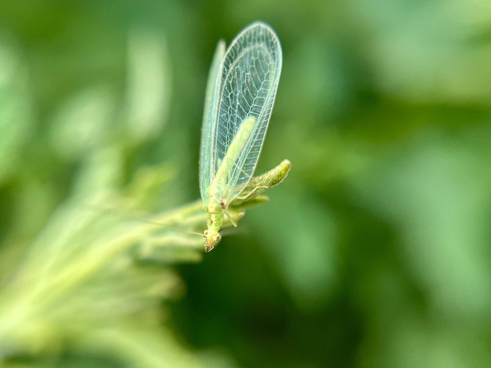 Photograph by Татьяна Михайловна