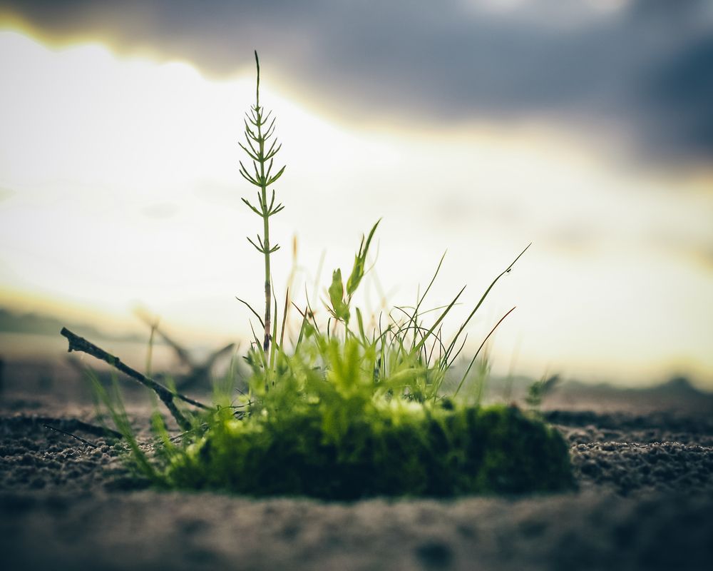 Photograph by Биденко Анастасия