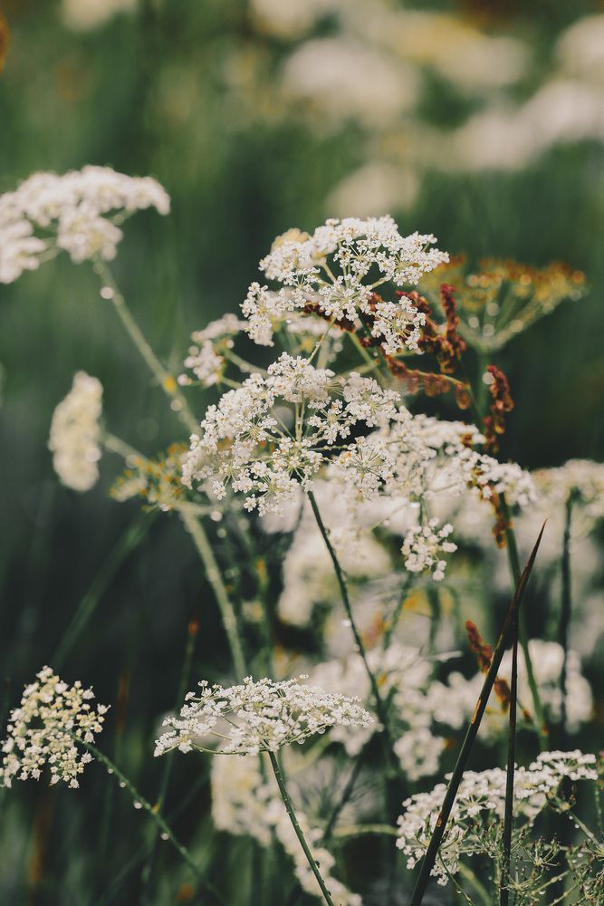 Photograph by Jana Treija
