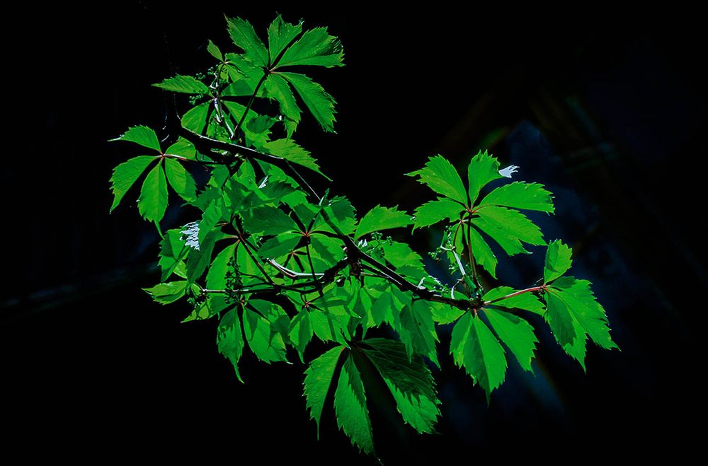 Photograph by Вячеслав Лычков