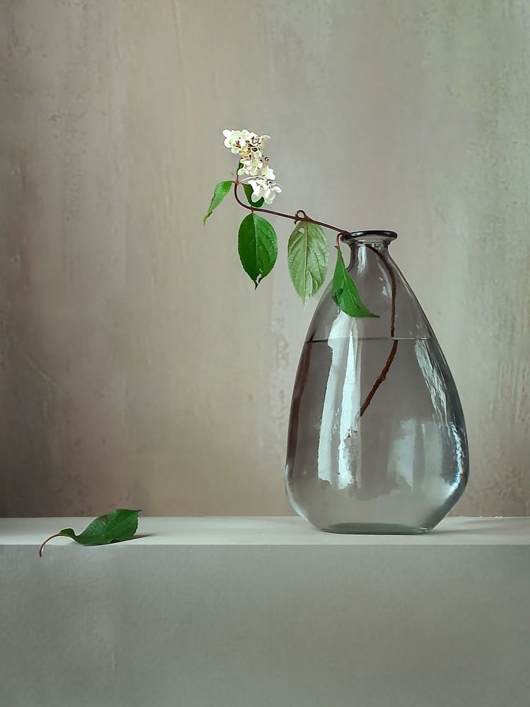 Photograph by Лариса Госнедель