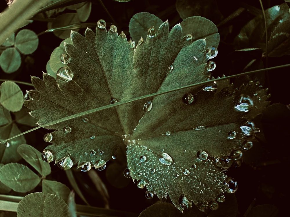 Photograph by Ольга Барулина