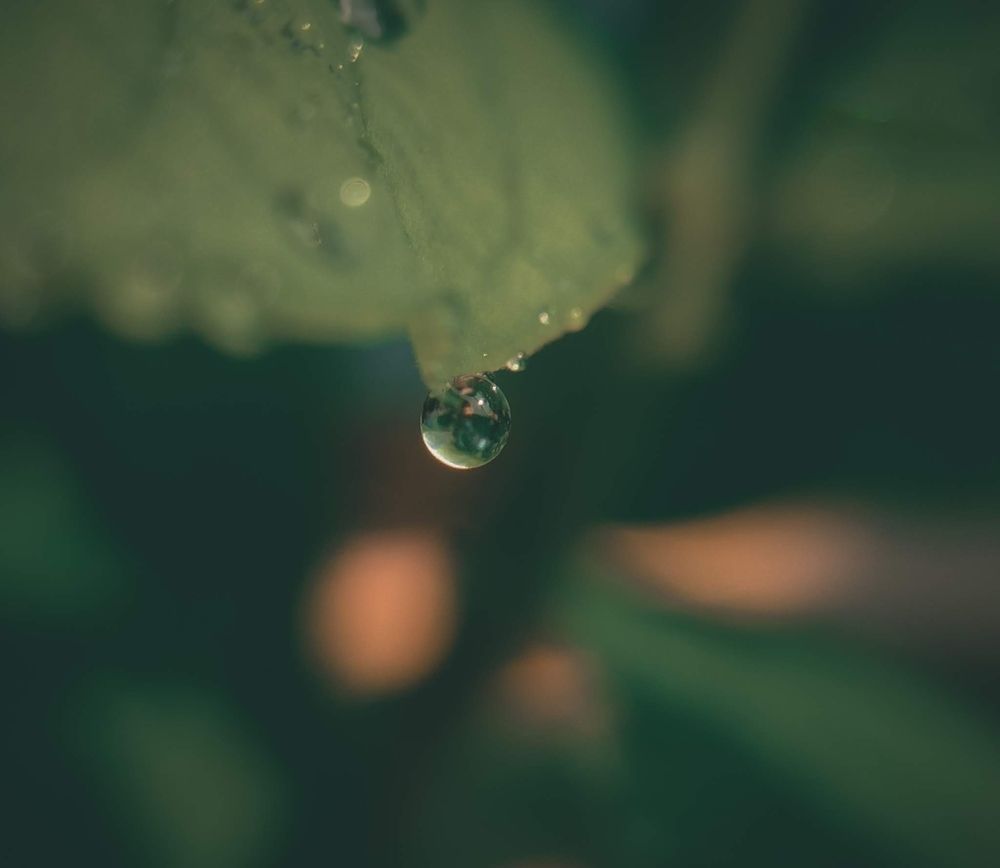 Photograph by Gargi Chatterjee