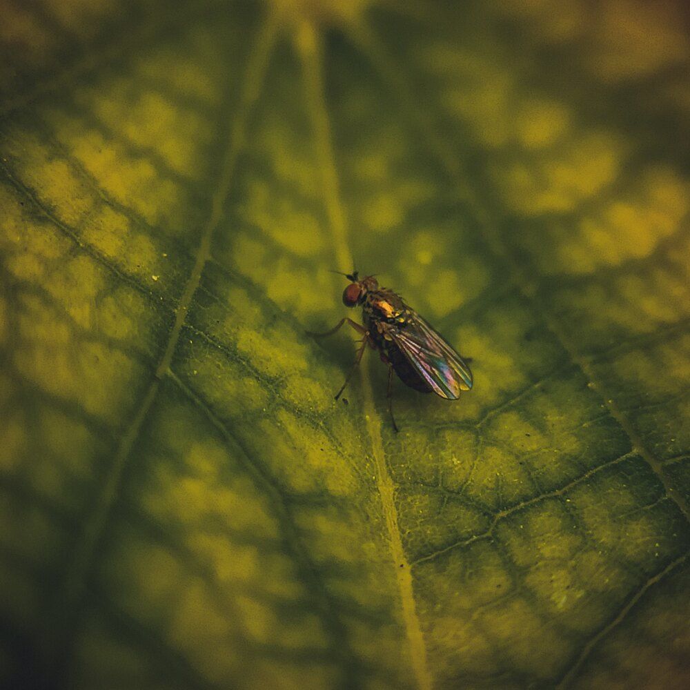 Photograph by Gargi Chatterjee