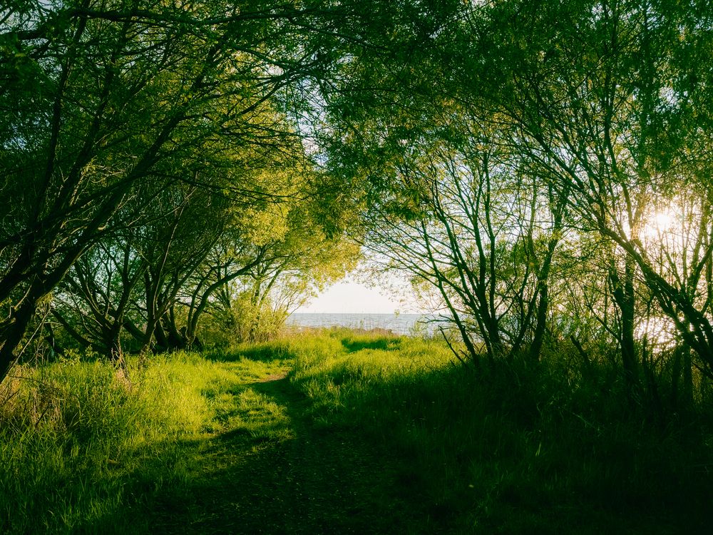 Photograph by Dmitriy Stepanov