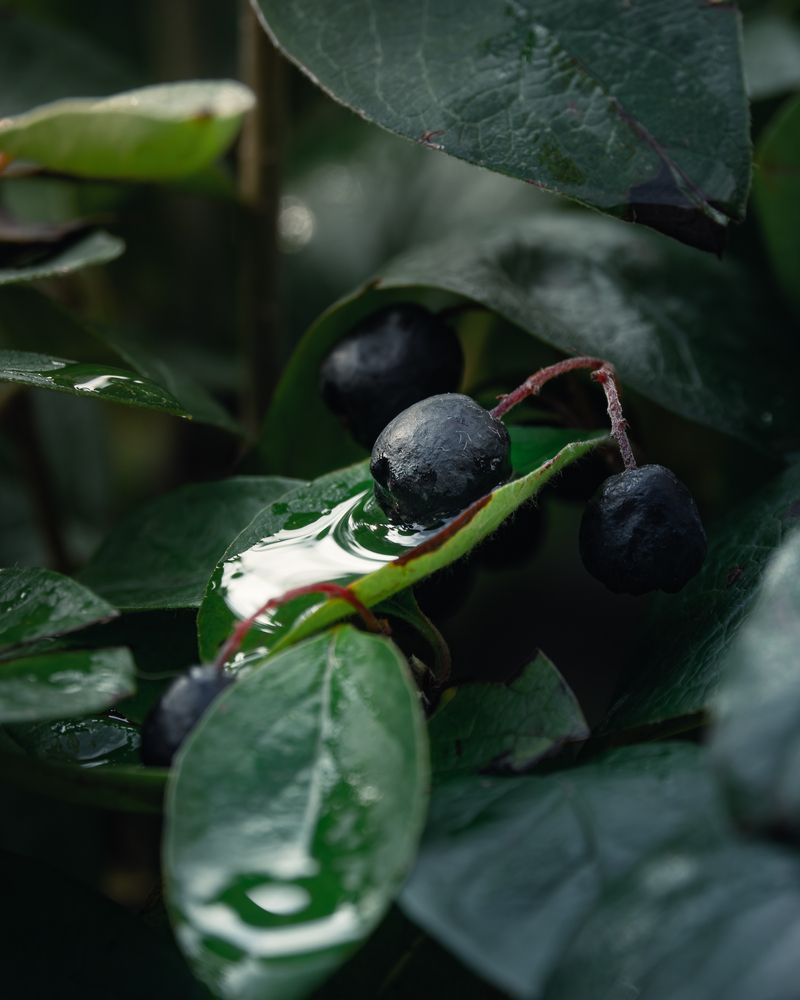 Photograph by Андрей Иванов