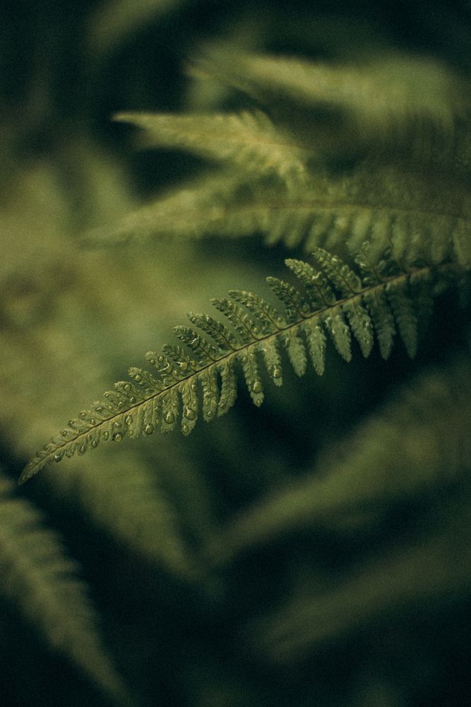 Photograph by Виктория Фирсова