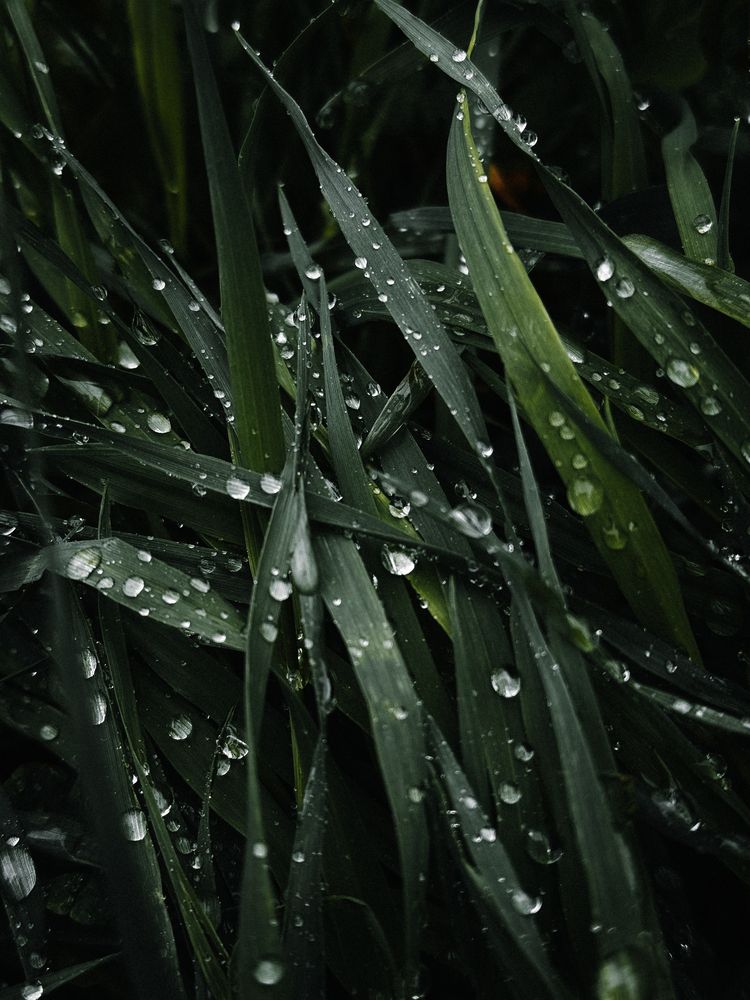 Photograph by Дарья Андреева
