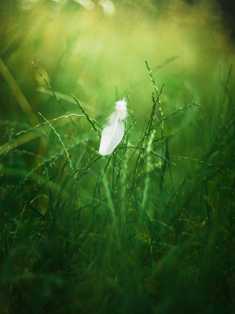 Photograph by Максим Симанчук
