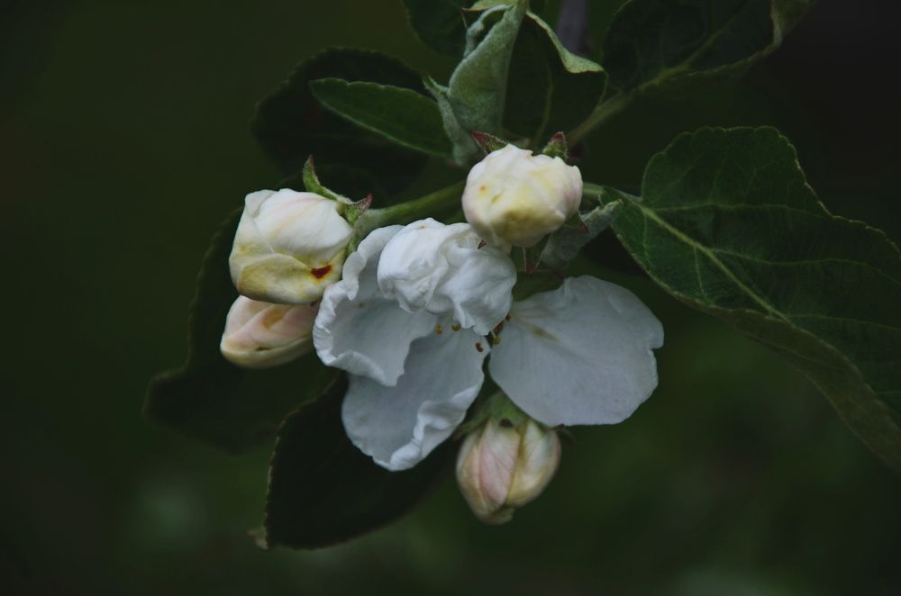 Photograph by Татьяна