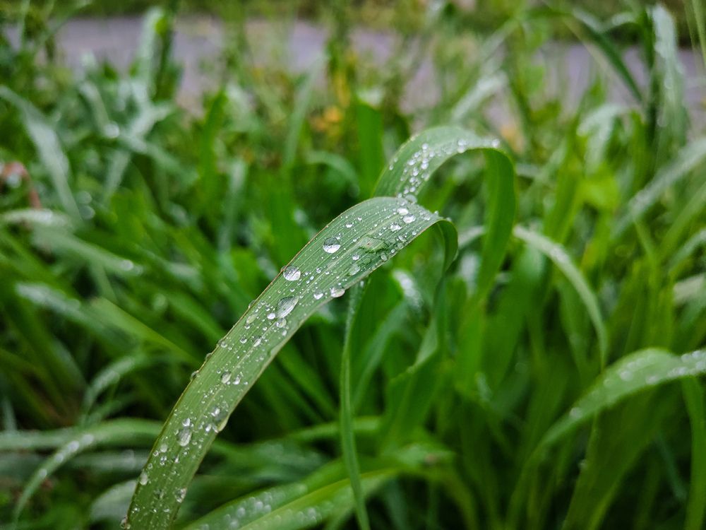 Perfect Surface